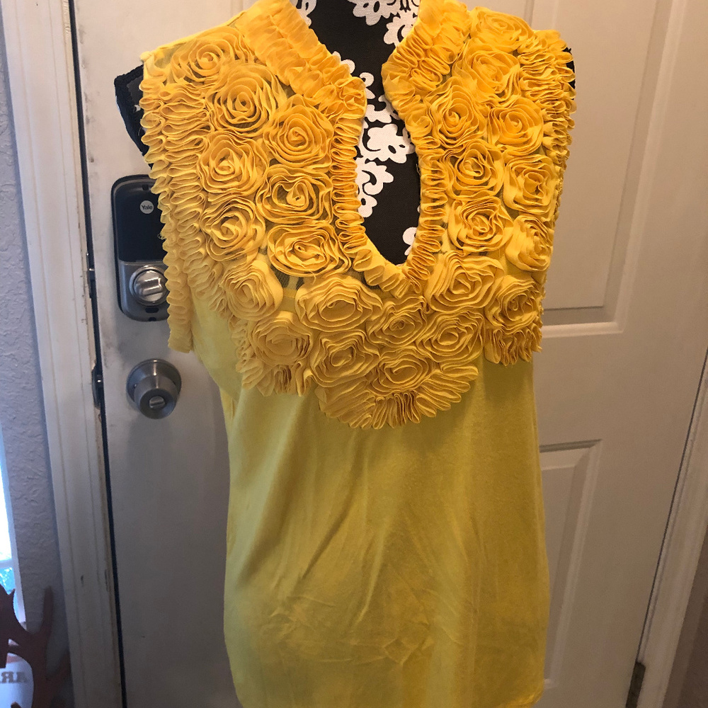 Beautiful blouse with rosettes